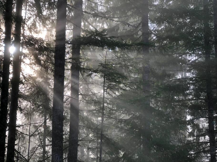 The Cabin In Packwood Bagian luar foto