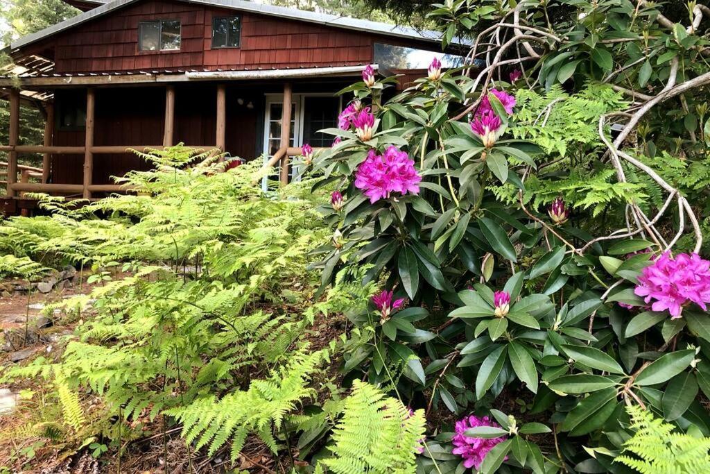 The Cabin In Packwood Bagian luar foto